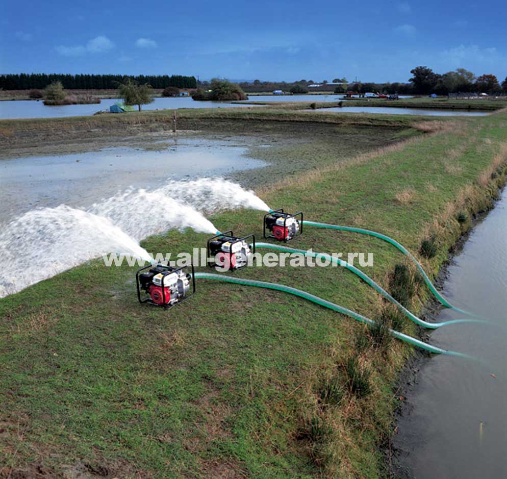 ���� - ���������� ��������� Honda WB30 ��� ��������