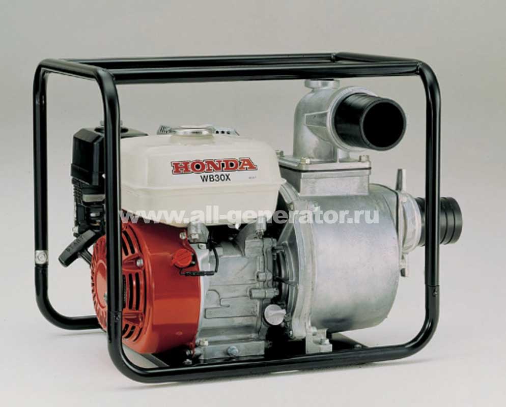 ������ ���������